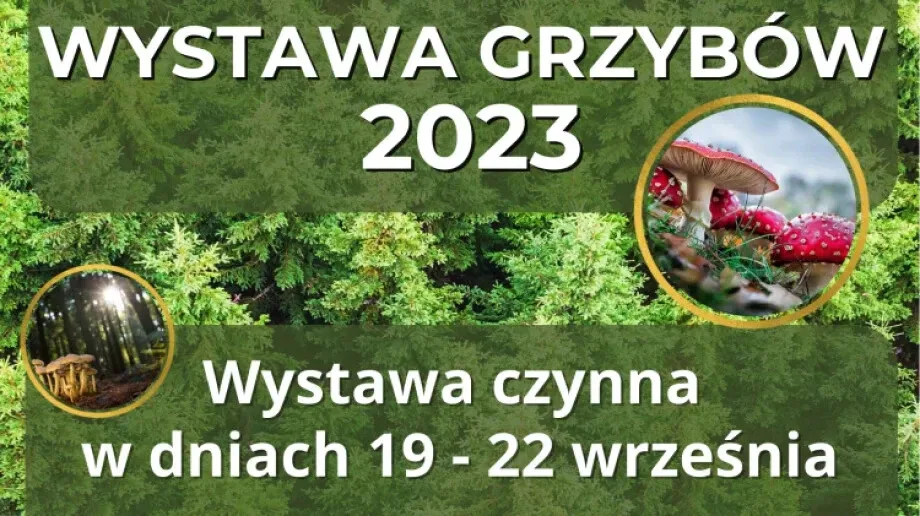 Zaproszenie na Wystawę Grzybów 2023: profilaktyka i edukacja w centrum uwagi
