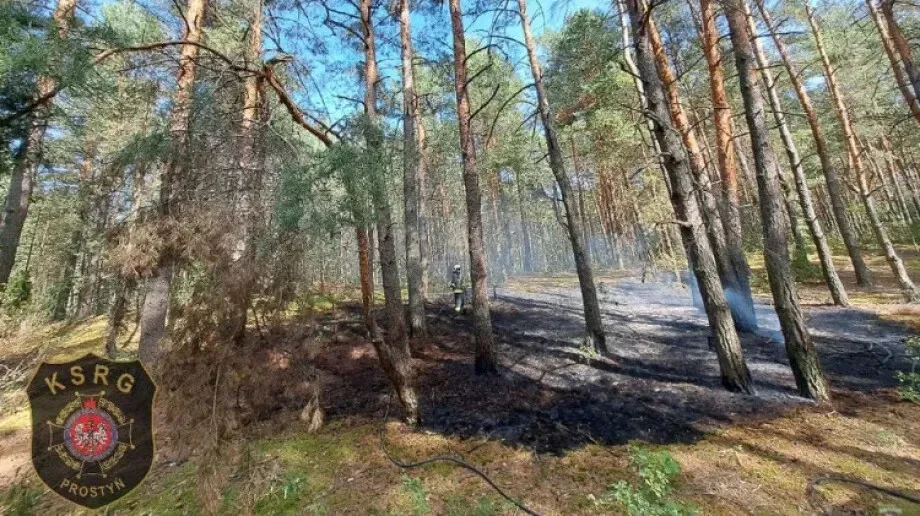  Pożar poszycia leśnego w Poniatowie