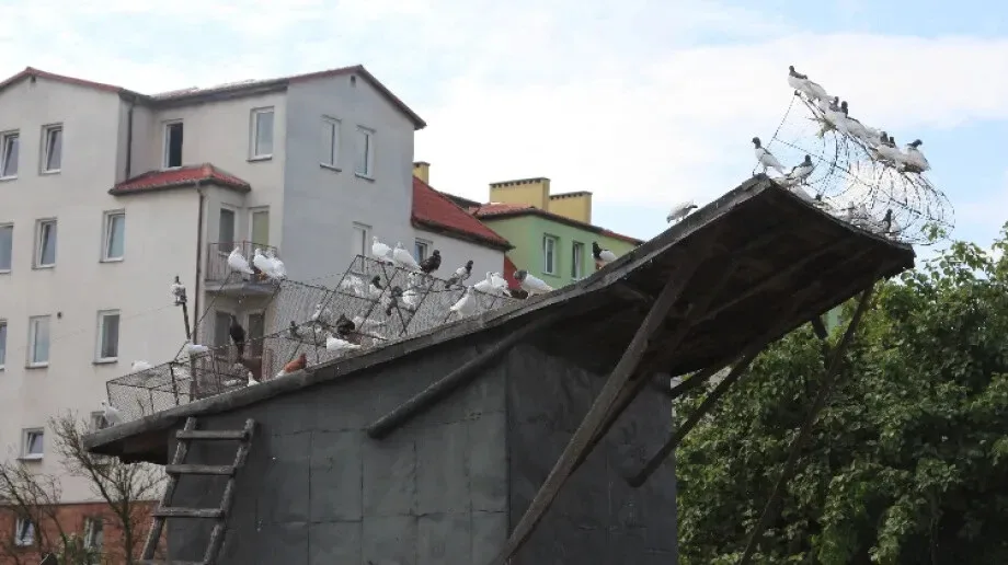 Ostrowscy detektywi czy jesteście gotowi na kolejną ostrowską zagadkę?