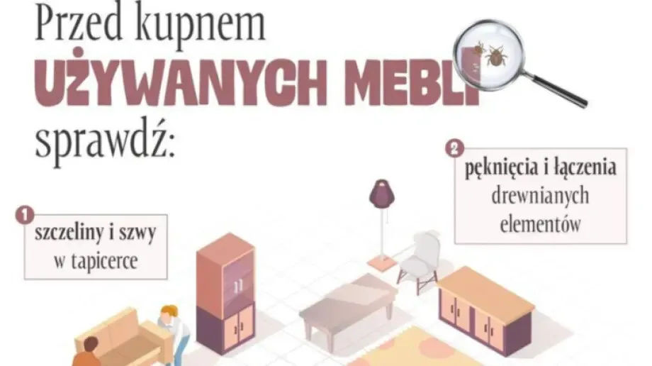 Meble z drugiej ręki - jak uniknąć niechcianych gości