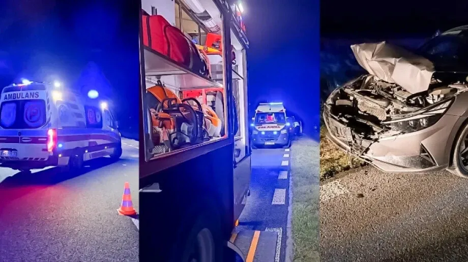 23-latka potrąciła sarnę. Zwierzę nie przeżyło