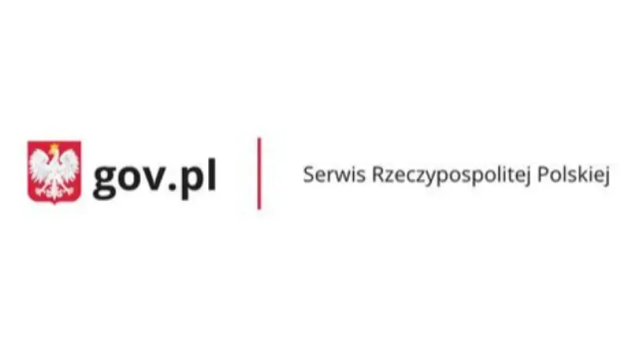  Kierowcy mogą sprawdzić swoje punkty karne przez Internet