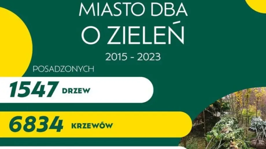Ostrow Mazowiecka zyskuje zieleń
