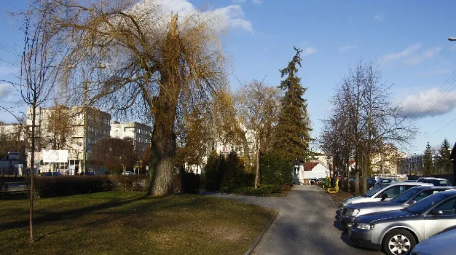 Będzie szaro, buro i ponuro. Prognoza pogody na kolejne dni