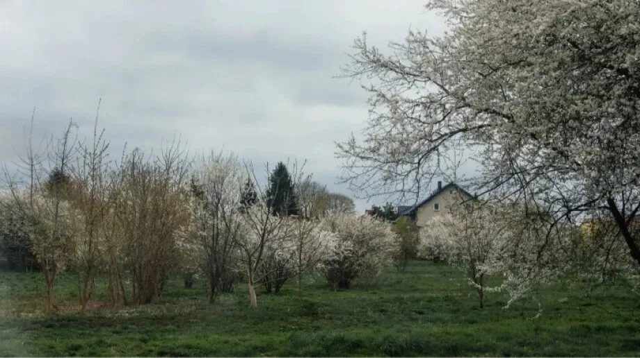 Niedziela ze zmienną pogodą. Będzie zdecydowanie wiosennie
