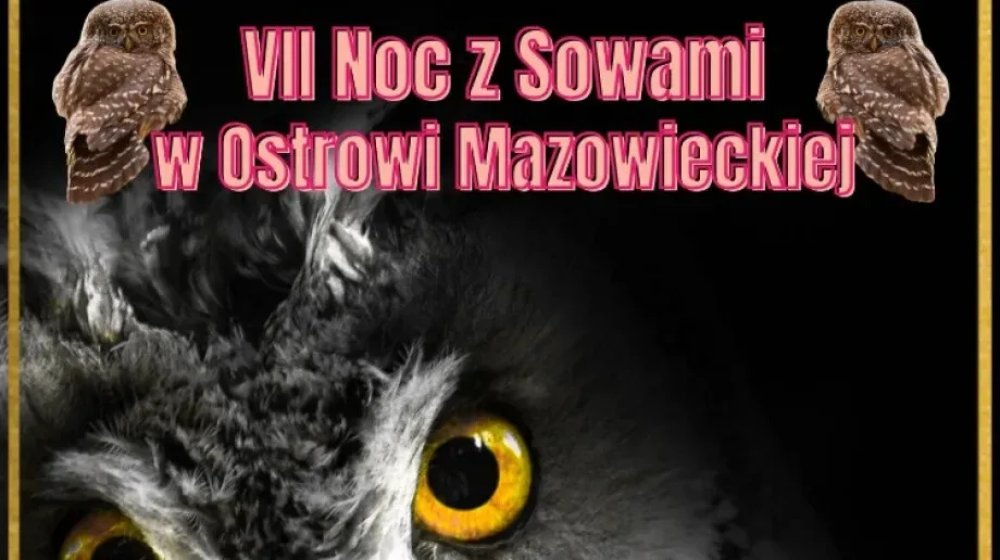 VII Noc z Sowami w Ostrowi Mazowieckiej