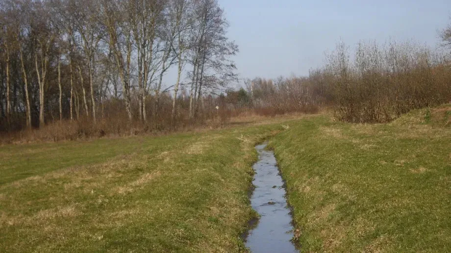 W poniedziałek w całym kraju możliwe niewielkie opady deszczu