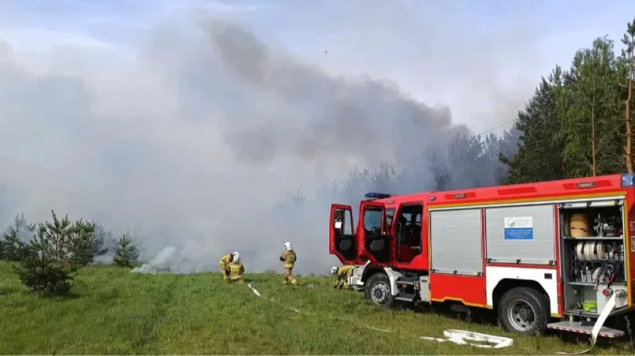 Dramatyczny pożar lasu w sąsiednim powiecie. W akcji brało udział 12 zastępów straży pożarnej