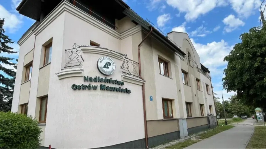 Jest praca w Nadleśnictwie 