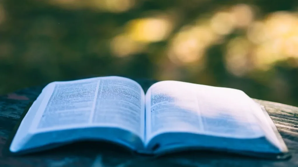Spotkania z literaturą i naturą. 'Eko Ostrowiada literacka' w Ostrowi Mazowieckiej