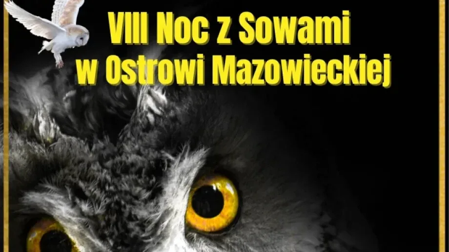 Odkryj tajemnice sów podczas nocnego spaceru