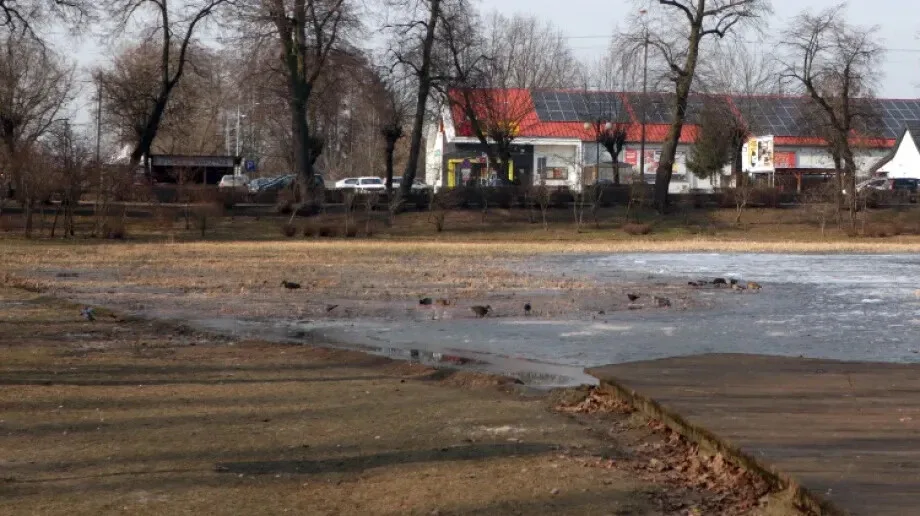 Radny interweniuje w sprawie wycinki w Parku nad Stawem