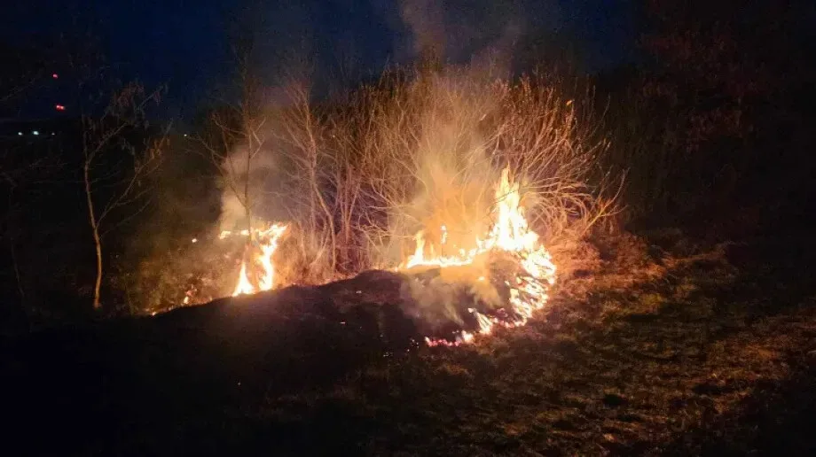 Pożar w pobliżu Kosewa (zdjęcia)