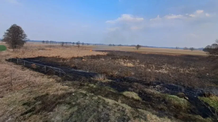 Rozległy pożar traw i zarośli w Prostyni (zdjęcia)