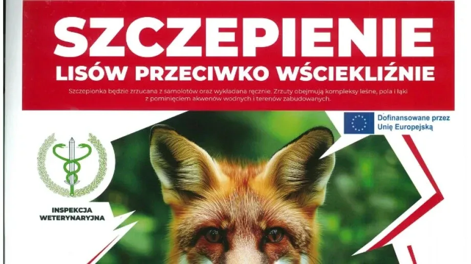 Szczepienie lisów przeciw wściekliźnie w województwie mazowieckim