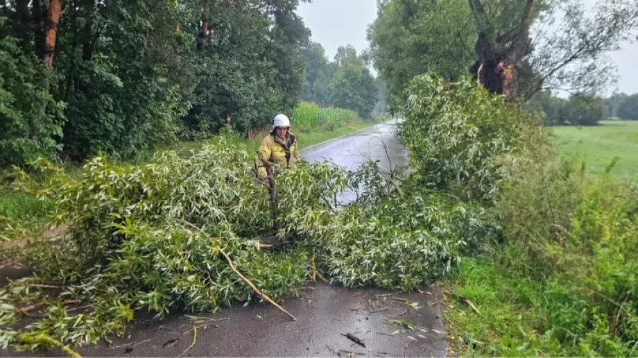 Usunięcie konaru z drogi między Rabędami a Palapusem