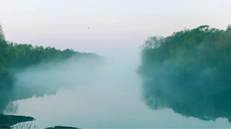 Ostrożnie na drogach! Synoptycy ostrzegają przed gęstą mgłą w regionie