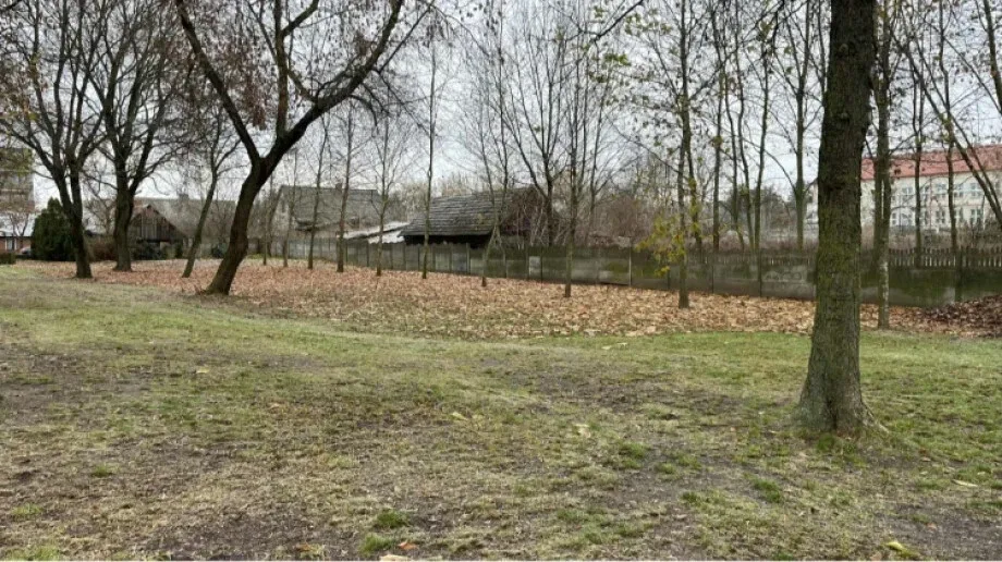 Wiceprzewodnicząca Rady Miasta chce psiego parku nad stawem miejskim w Ostrowi Mazowieckiej