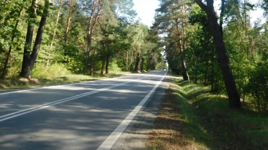 Z Ostrowi Mazowieckiej do Ostrołęki wzdłuż pomnika przyrody