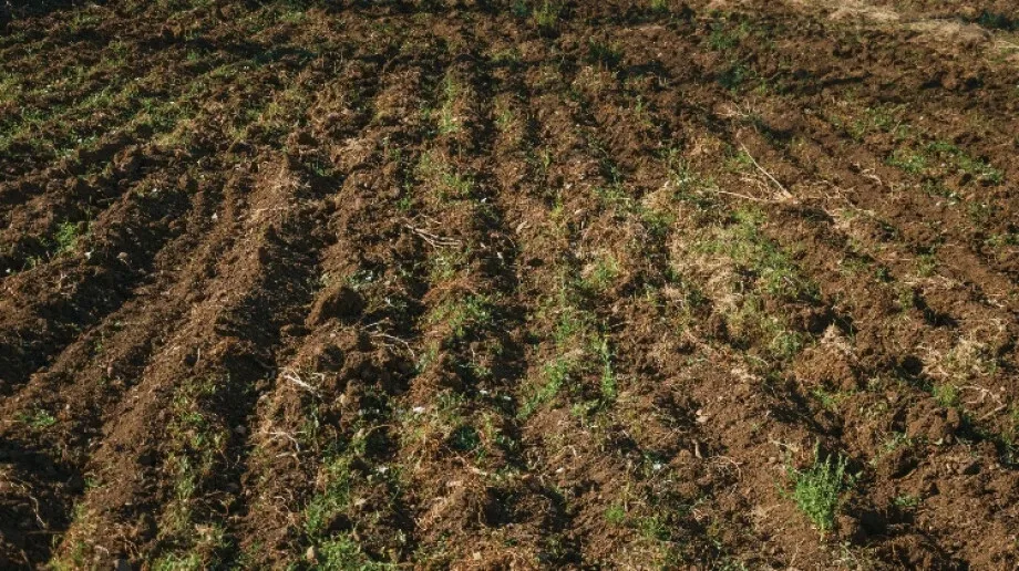 Bezpłatne badania gleby. Skorzystajcie