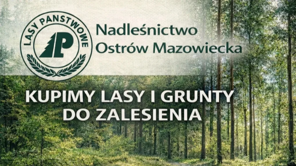 Nadleśnictwo Ostrów Mazowiecka jest zainteresowane zakupem lasów lub gruntów przeznaczonych do zalesienia