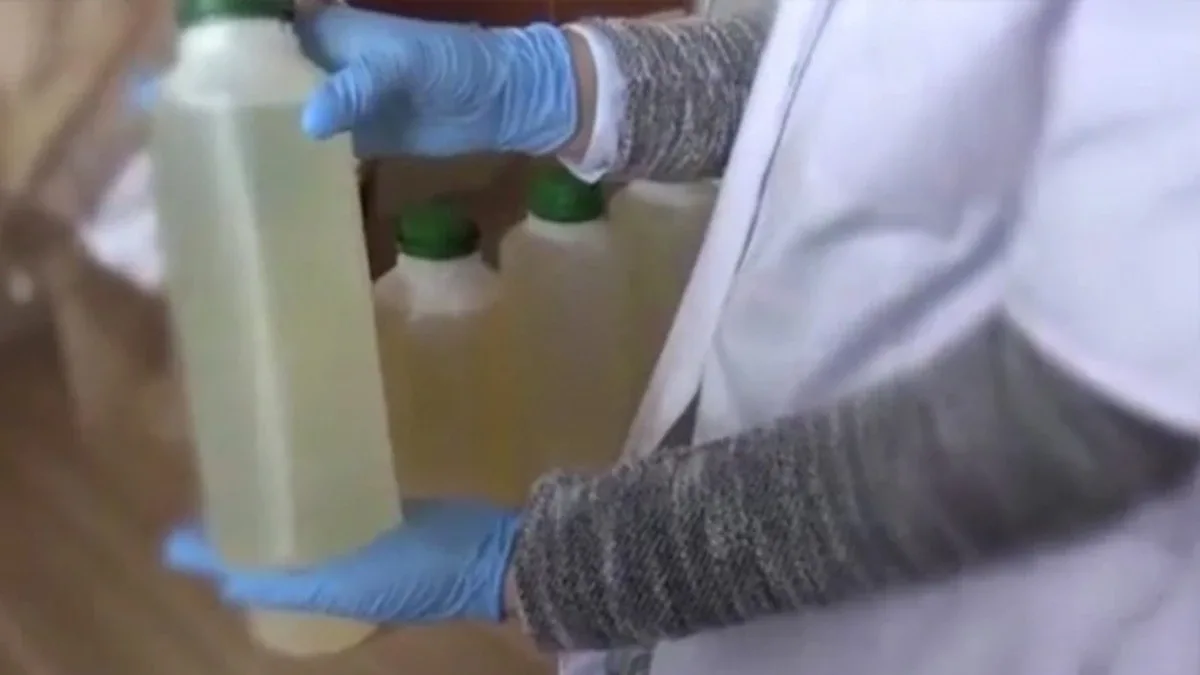 Policja przejęła narkotyki warte milion złotych. Zlikwidowano trzy laboratoria i pięć plantacji (wideo)