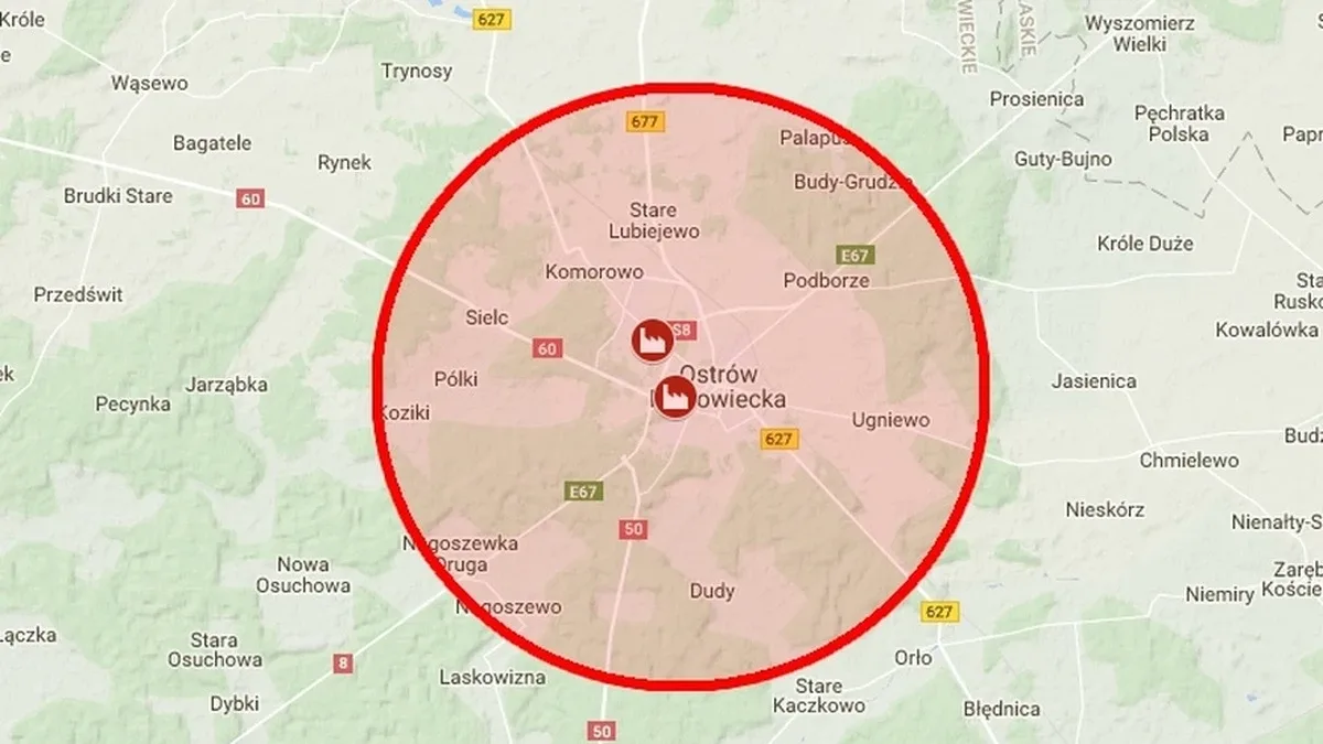 Firma z Ostrowi Mazowieckiej kupuje drewno z Puszczy Białowieskiej