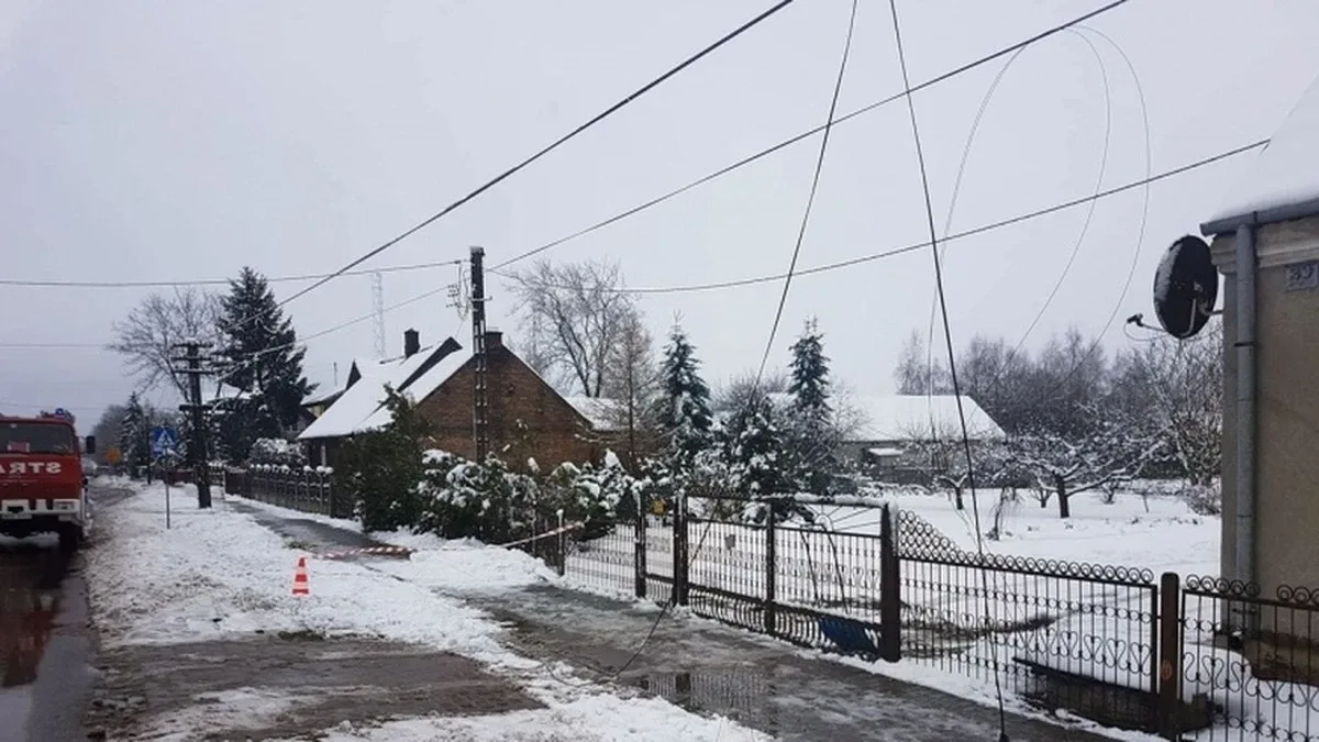 Ponad 40 interwencji ostrowskich strażaków. Powalone drzewa i zerwane linie energetyczne (zdjęcia)