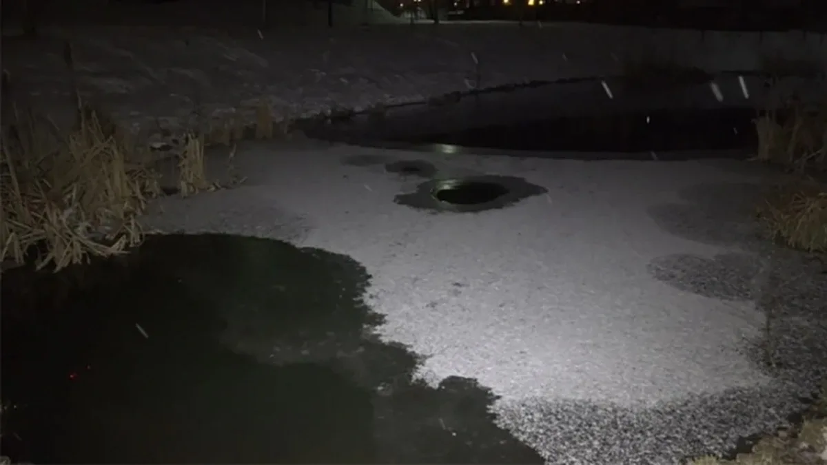 8-latka utonęła w stawie. Bawiła się z psem (wideo)