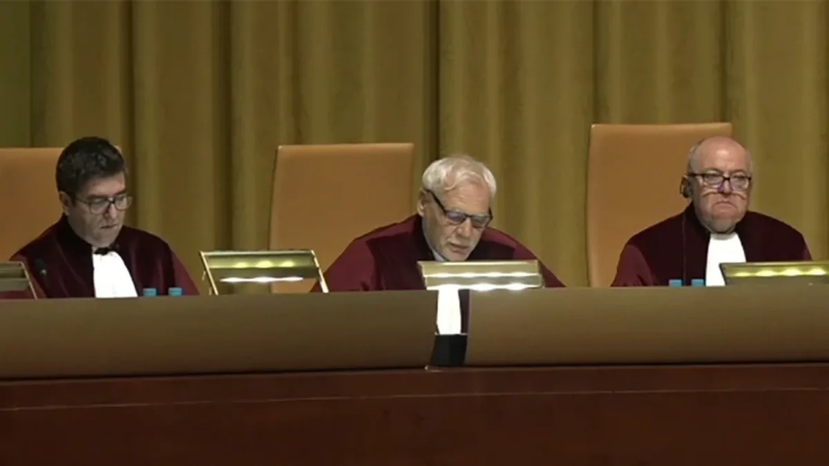 'Polska naruszyła prawo'. Wyrok Trybunału Sprawiedliwości UE ws. Puszczy Białowieskiej (wideo)