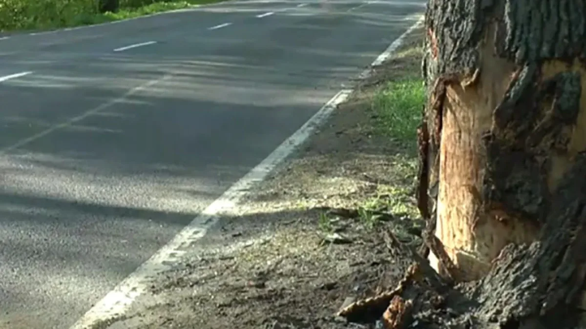 Dwie blokady i strzały w kierunku uciekającego kierowcy. Brawurowy pościg na Warmii (wideo)