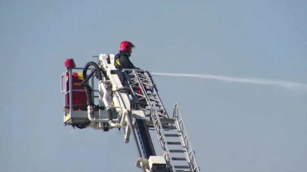 Pożar chlewni pod Poznaniem. Nie udało się uratować ponad 2500 świń (wideo)