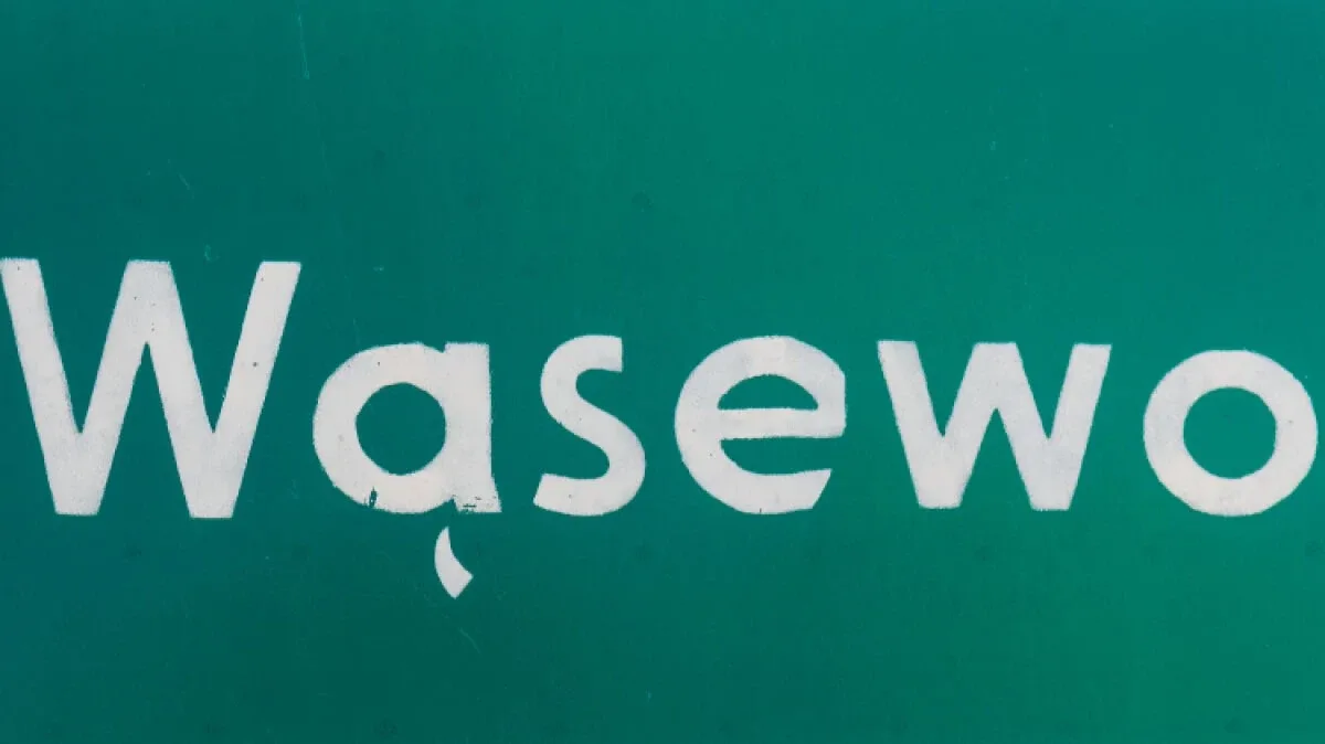 Gdzie głosować? Zobacz pełny wykaz obwodów głosowania w gminie Wąsewo