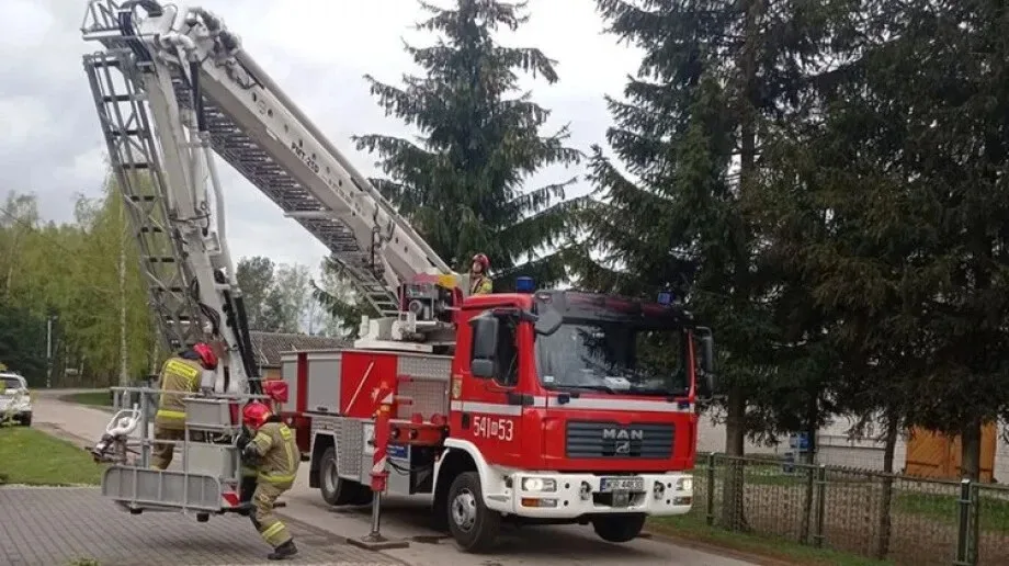 Strażacy na ratunek kotu. Zwierzę wdrapało się na wysokie drzewo