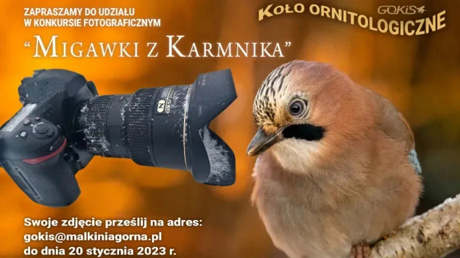 Konkurs fotograficzny pt. 'Migawki z karmnika'. Zrób zdjęcie ptaka przy karmniku i wygraj wspaniałe nagrody!
