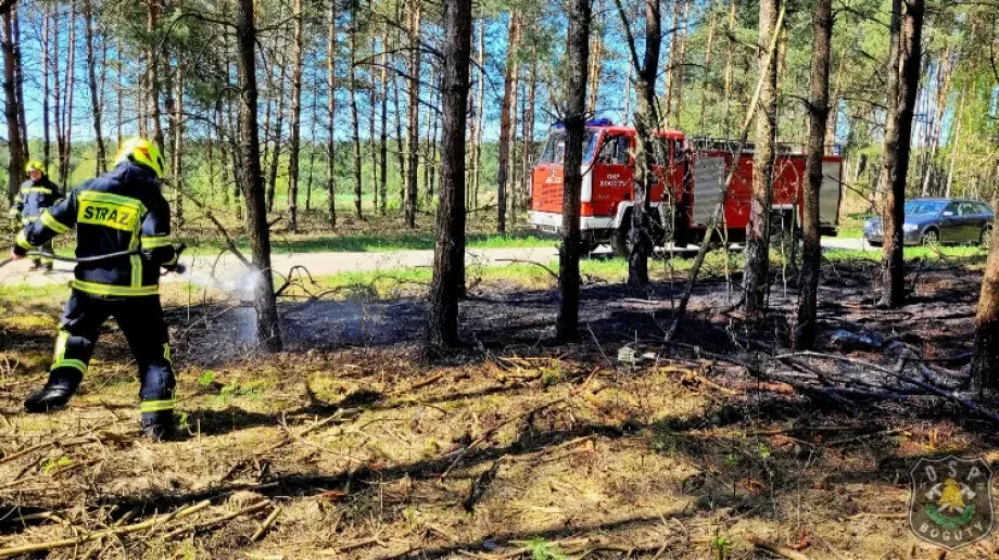 Walka z ogniem! Pożar lasu na terenie gminy Boguty-Pianki