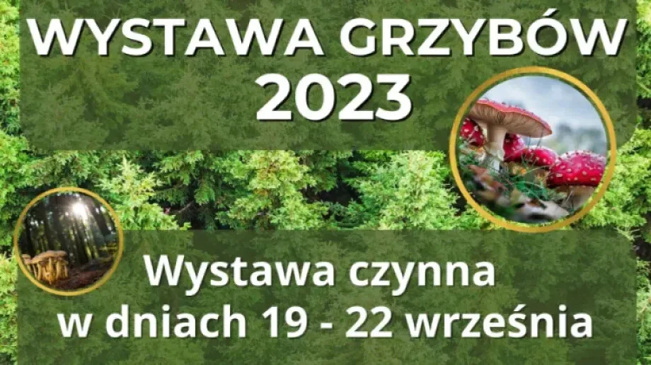 Zaproszenie na Wystawę Grzybów 2023: profilaktyka i edukacja w centrum uwagi
