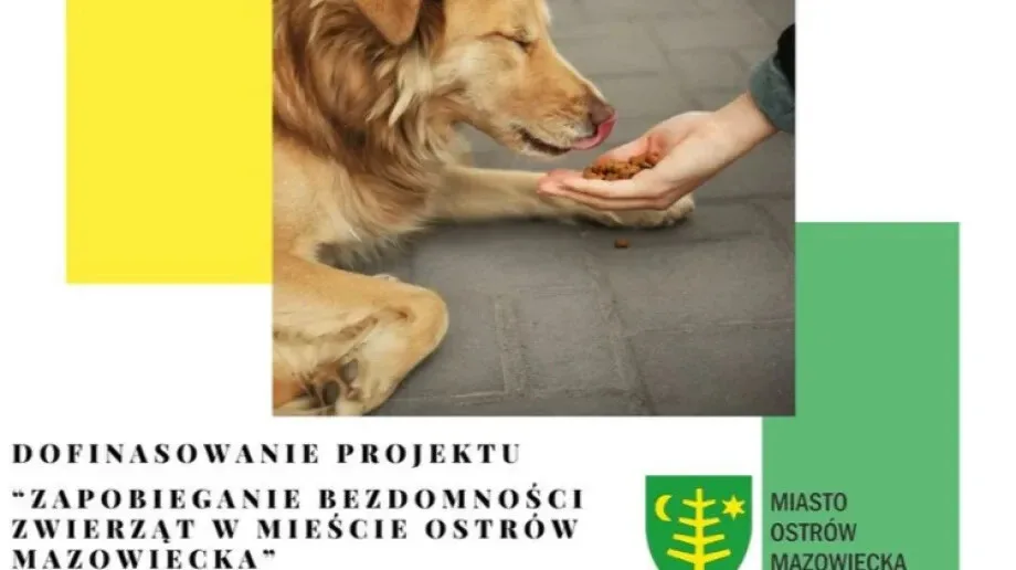 Ostrów Mazowiecka pozyskuje środki na walkę z bezdomnością zwierząt