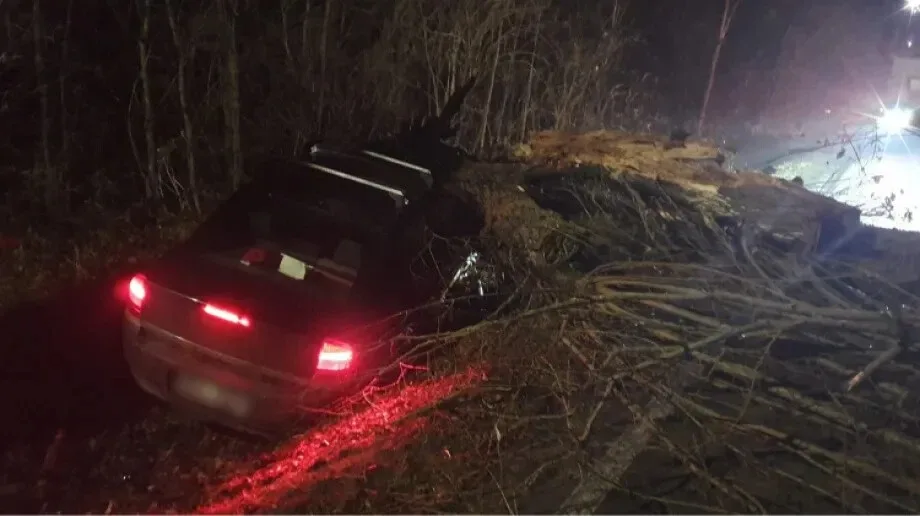 Uderzył samochodem w drzewo i trafił do szpitala. Groźny wypadek w miejscowości Drewnowo-Ziemaki (zdjęcia)
