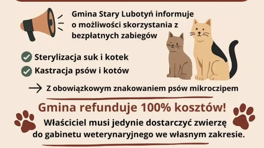 Stary Lubotyń walczy z bezdomnością zwierząt. Gmina refunduje sterylizację i chipowanie