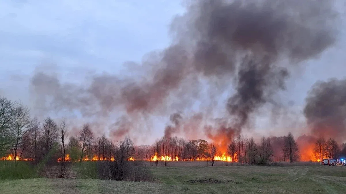 Ogromny pożar trawy! To działo się niedaleko naszego powiatu
