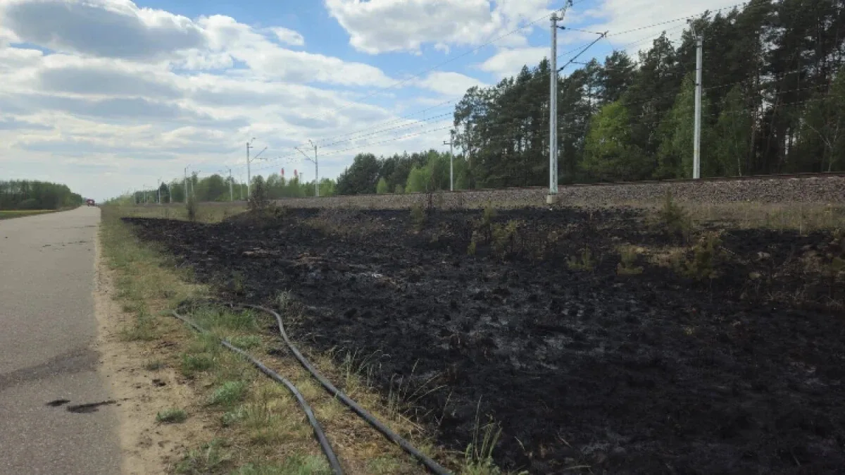 Pożar trawy na nasypie kolejowym między Gąsiorowem a Małkinią. Paliło się w kilku miejscach!