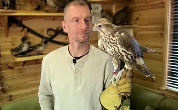 Usługi sokolnicze - pomysł na biznes ostrowskiej firmy (wideo)
