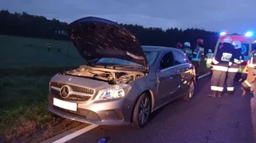 Zderzenie z łosiem w pobliżu miejscowości Sulęcin Włościański
