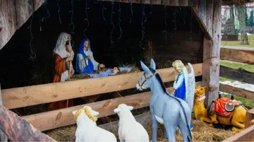 Magia Świąt w Broku. Wyjątkowa Szopka Bożonarodzeniowa z żywymi zwierzętami czeka na odwiedzających