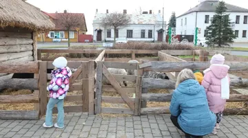 Żywa Szopka Bożonarodzeniowa w Broku. Świąteczna tradycja pełna uroku (zdjęcia)