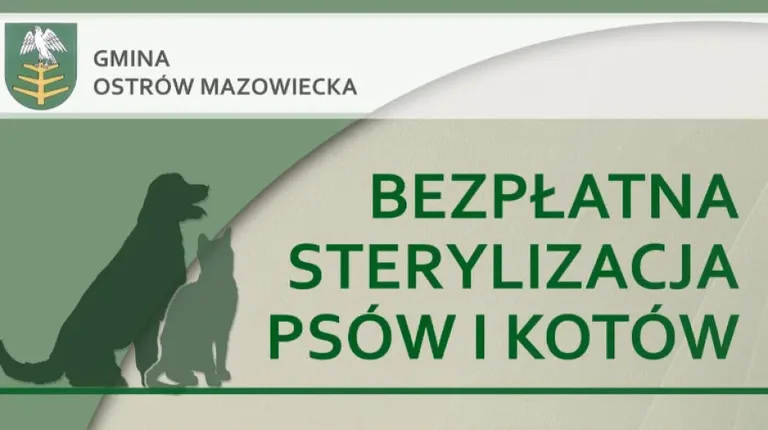 Bezpłatna sterylizacja psów i kotów dla mieszkańców gminy Ostrów Mazowiecka