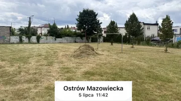 Awantura o stertę trawy. Kto mówi prawdę?