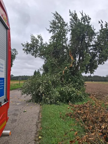 Mocno wiało! Strażacy mają pełne ręce roboty