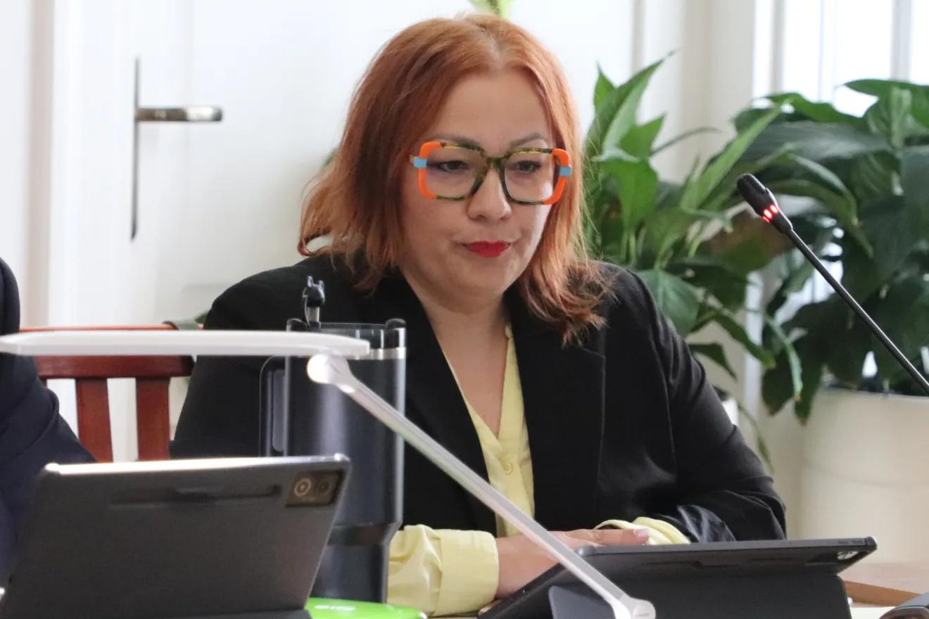 Pęknięcia przy Kościuszki, rdza przy Batorego. Wiceprzewodnicząca Anna Krajewska pyta o wydane miliony